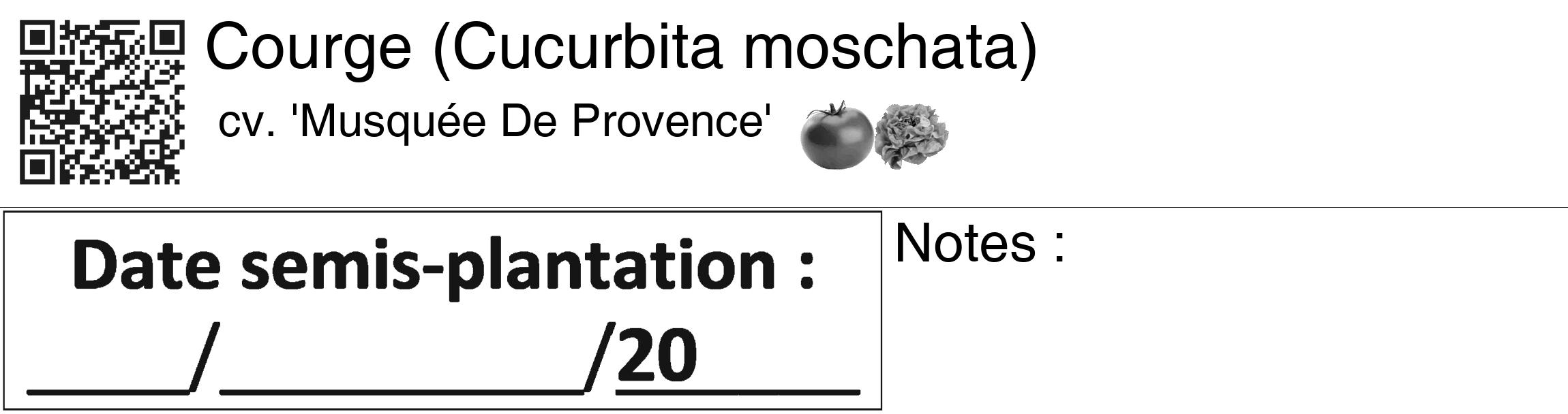 Étiquette de : Cucurbita moschata cv. 'Musquée De Provence' - format c - style noire60_basiquegrrvhel avec qrcode et comestibilité simplifiée