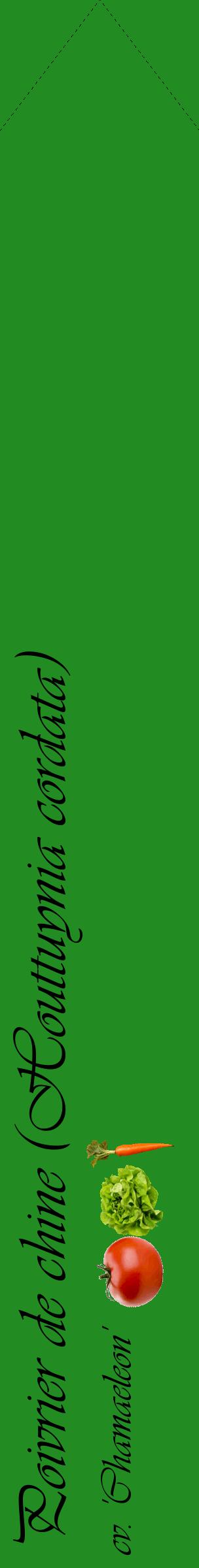Étiquette de : Houttuynia cordata cv. 'Chamaeleon' - format c - style noire10_simpleviv avec comestibilité simplifiée