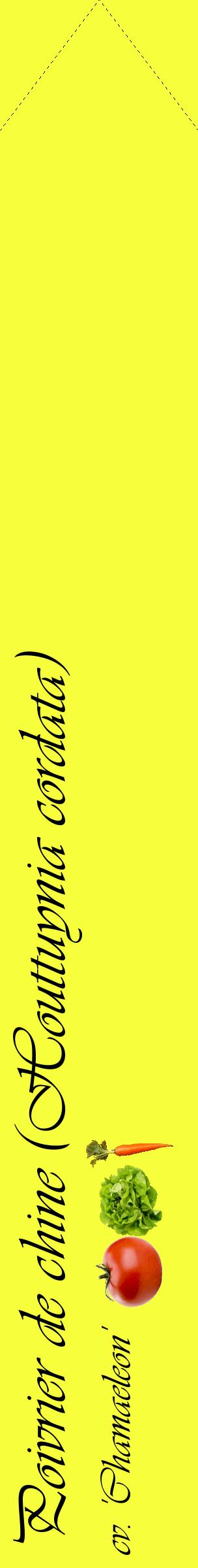 Étiquette de : Houttuynia cordata cv. 'Chamaeleon' - format c - style noire18_simpleviv avec comestibilité simplifiée