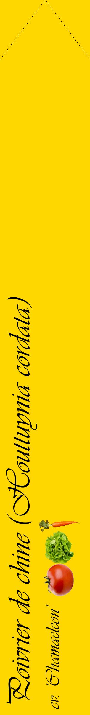 Étiquette de : Houttuynia cordata cv. 'Chamaeleon' - format c - style noire21_simpleviv avec comestibilité simplifiée