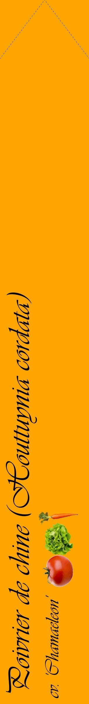 Étiquette de : Houttuynia cordata cv. 'Chamaeleon' - format c - style noire22_simpleviv avec comestibilité simplifiée