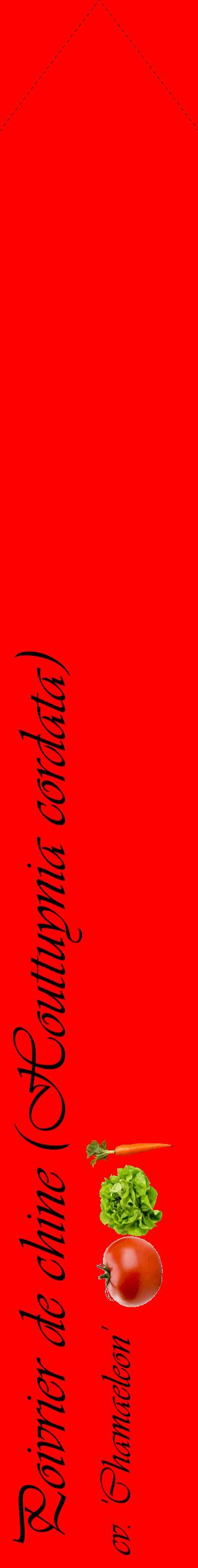 Étiquette de : Houttuynia cordata cv. 'Chamaeleon' - format c - style noire27_simpleviv avec comestibilité simplifiée