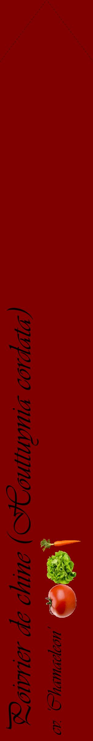 Étiquette de : Houttuynia cordata cv. 'Chamaeleon' - format c - style noire29_simpleviv avec comestibilité simplifiée