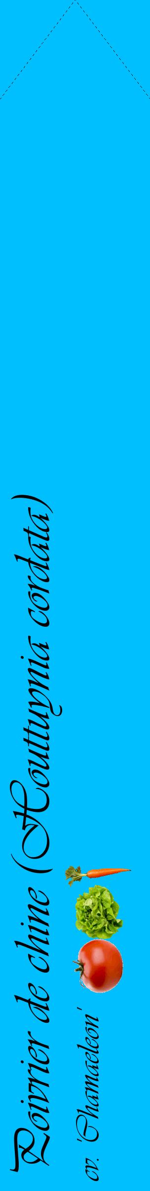 Étiquette de : Houttuynia cordata cv. 'Chamaeleon' - format c - style noire2_simpleviv avec comestibilité simplifiée