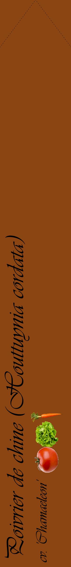 Étiquette de : Houttuynia cordata cv. 'Chamaeleon' - format c - style noire30_simpleviv avec comestibilité simplifiée