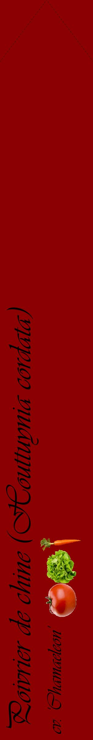 Étiquette de : Houttuynia cordata cv. 'Chamaeleon' - format c - style noire34_simpleviv avec comestibilité simplifiée