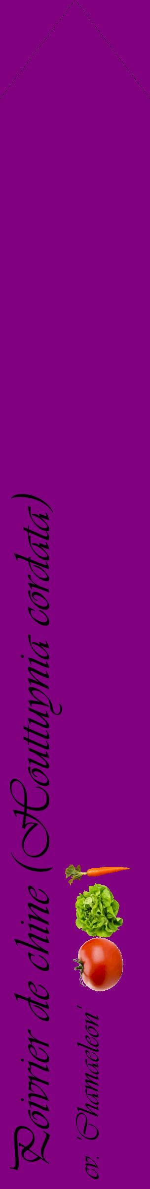 Étiquette de : Houttuynia cordata cv. 'Chamaeleon' - format c - style noire46_simpleviv avec comestibilité simplifiée