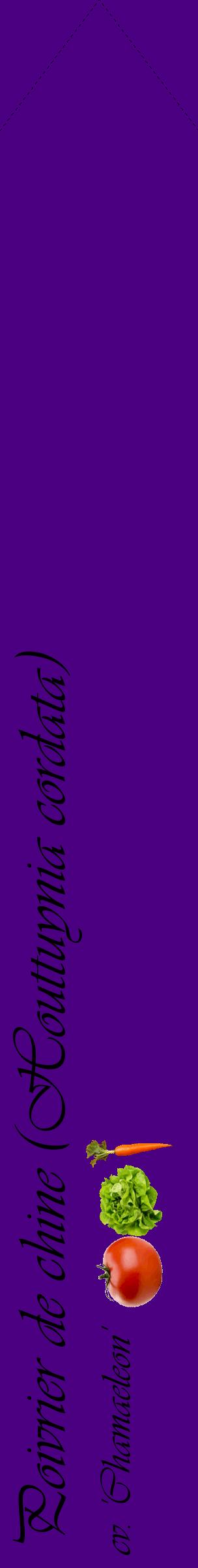 Étiquette de : Houttuynia cordata cv. 'Chamaeleon' - format c - style noire47_simpleviv avec comestibilité simplifiée