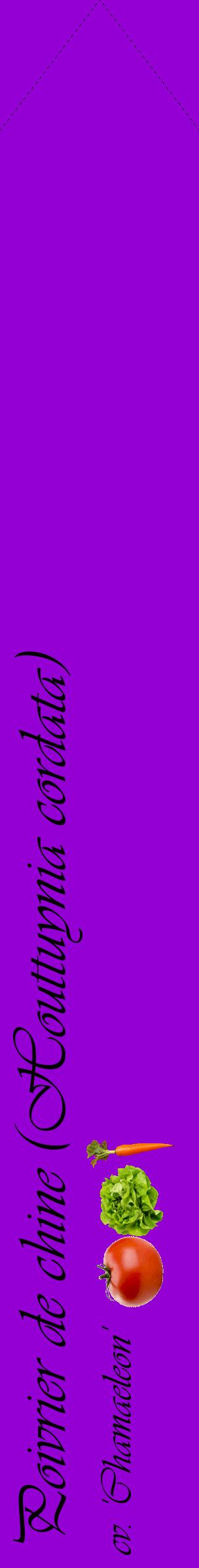 Étiquette de : Houttuynia cordata cv. 'Chamaeleon' - format c - style noire48_simpleviv avec comestibilité simplifiée