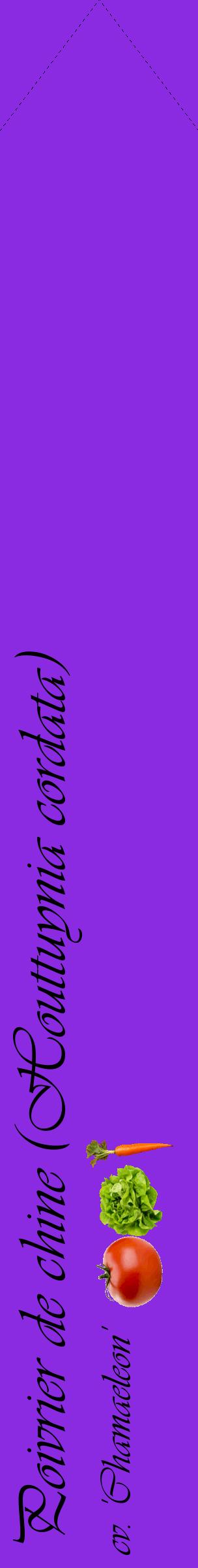 Étiquette de : Houttuynia cordata cv. 'Chamaeleon' - format c - style noire49_simpleviv avec comestibilité simplifiée