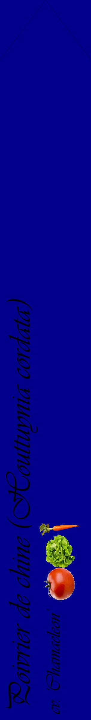 Étiquette de : Houttuynia cordata cv. 'Chamaeleon' - format c - style noire7_simpleviv avec comestibilité simplifiée