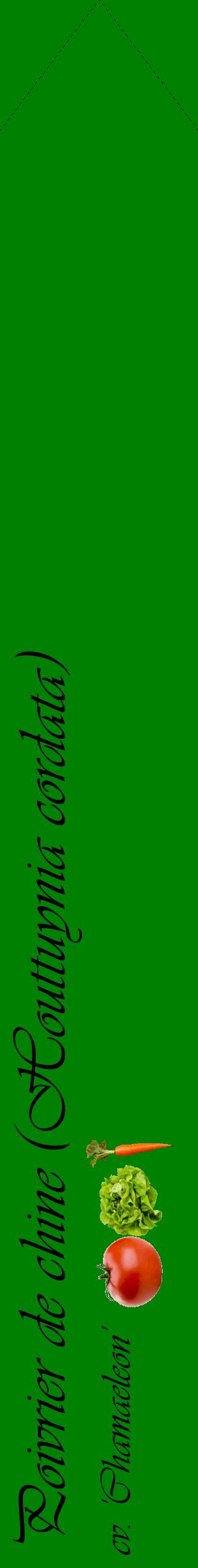 Étiquette de : Houttuynia cordata cv. 'Chamaeleon' - format c - style noire9_simpleviv avec comestibilité simplifiée