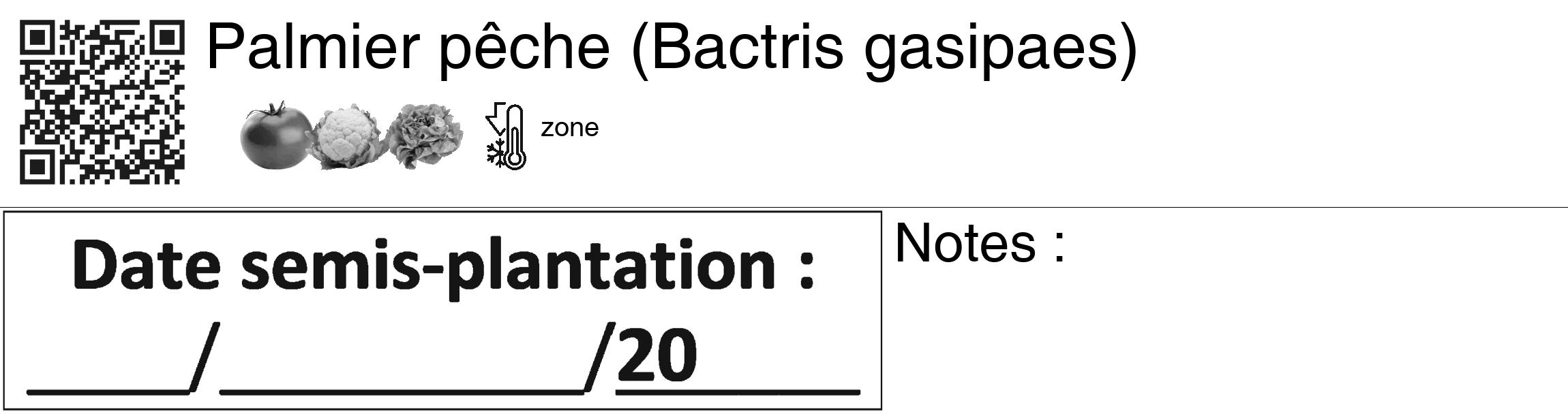 Étiquette de : Bactris gasipaes - format c - style noire60_basiquegrrvhel avec qrcode et comestibilité simplifiée