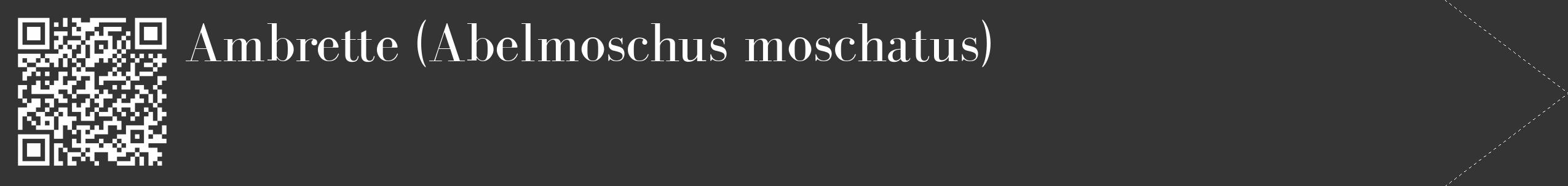 Étiquette de : Abelmoschus moschatus - format c - style blanche46_simple_simplebod avec qrcode et comestibilité
