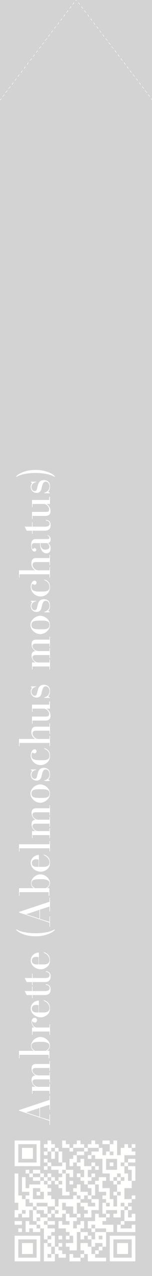 Étiquette de : Abelmoschus moschatus - format c - style blanche56_simplebod avec qrcode et comestibilité