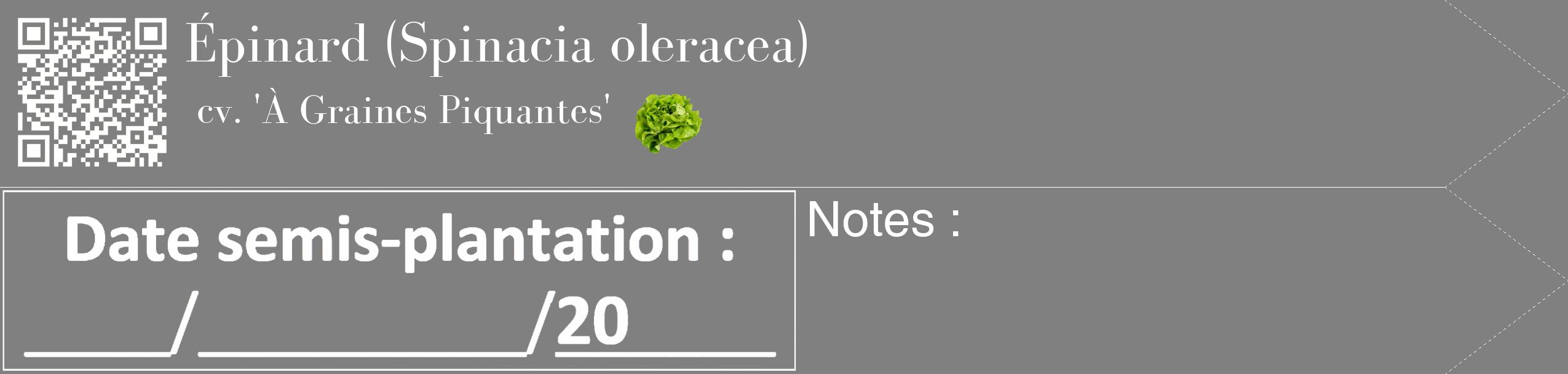 Étiquette de : Spinacia oleracea cv. 'À Graines Piquantes' - format c - style blanche57_simple_simplebod avec qrcode et comestibilité simplifiée