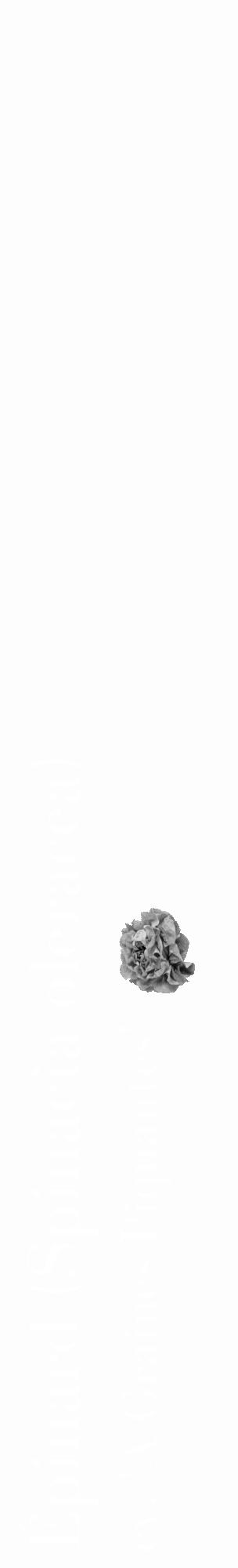 Étiquette de : Spinacia oleracea cv. 'À Graines Piquantes' - format c - style blanche19_basique_basiquebod avec comestibilité simplifiée - position verticale