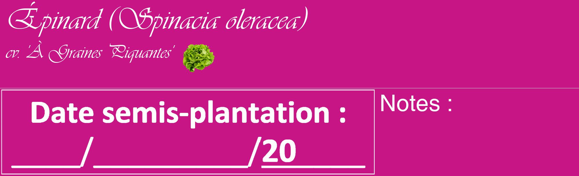 Étiquette de : Spinacia oleracea cv. 'À Graines Piquantes' - format c - style blanche45_basique_basiqueviv avec comestibilité simplifiée