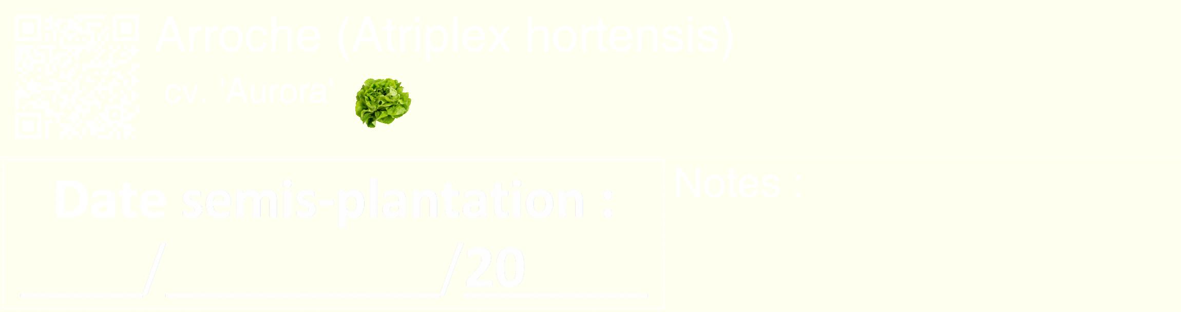 Étiquette de : Atriplex hortensis cv. 'Aurora' - format c - style blanche19_basique_basiquehel avec qrcode et comestibilité simplifiée