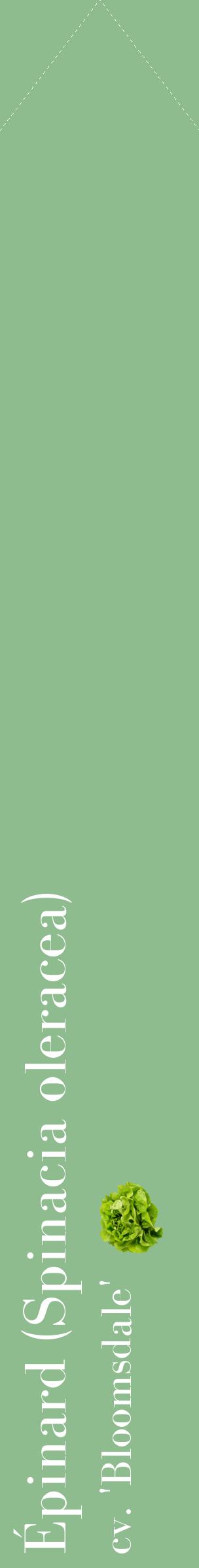 Étiquette de : Spinacia oleracea cv. 'Bloomsdale' - format c - style blanche13_simplebod avec comestibilité simplifiée