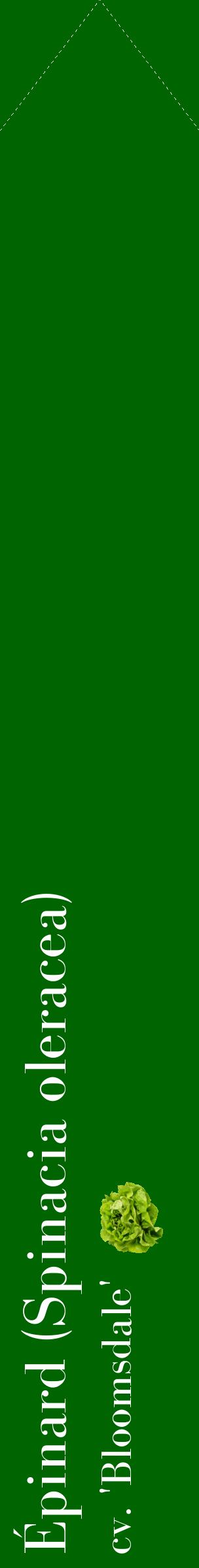Étiquette de : Spinacia oleracea cv. 'Bloomsdale' - format c - style blanche8_simplebod avec comestibilité simplifiée