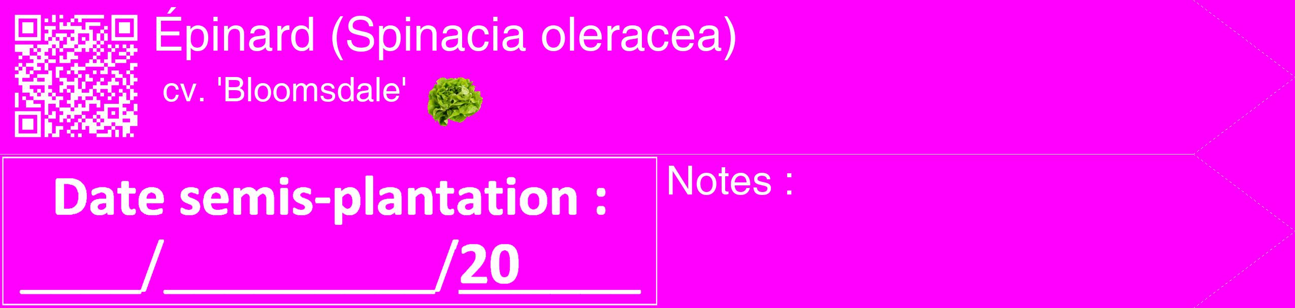 Étiquette de : Spinacia oleracea cv. 'Bloomsdale' - format c - style blanche51_simple_simplehel avec qrcode et comestibilité simplifiée