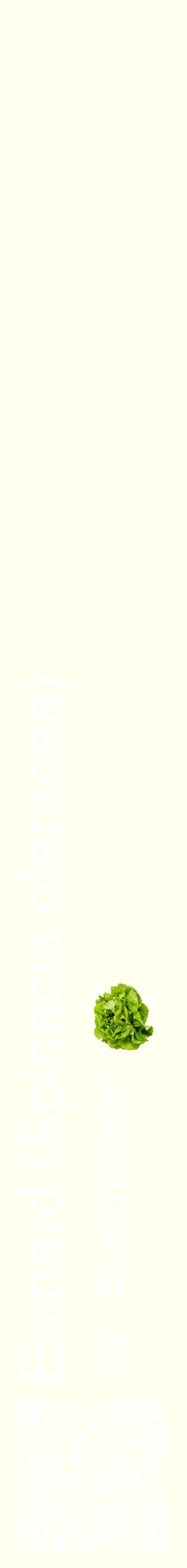 Étiquette de : Spinacia oleracea cv. 'Bloomsdale' - format c - style blanche19_simplehel avec qrcode et comestibilité simplifiée