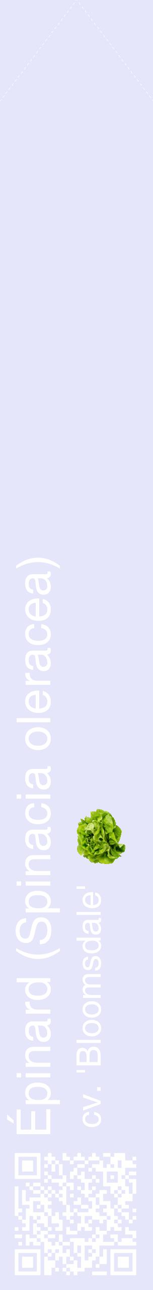 Étiquette de : Spinacia oleracea cv. 'Bloomsdale' - format c - style blanche55_simplehel avec qrcode et comestibilité simplifiée