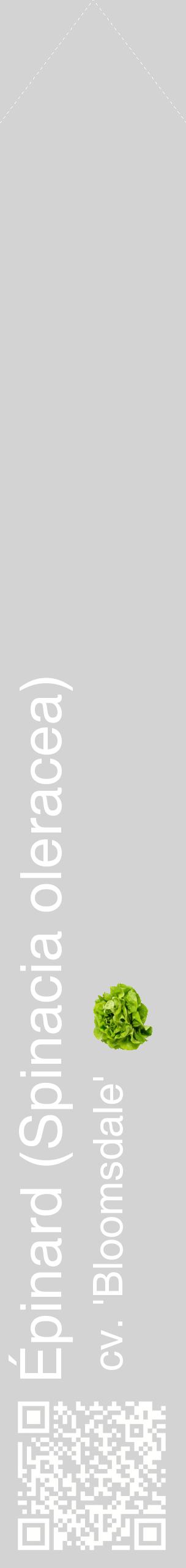 Étiquette de : Spinacia oleracea cv. 'Bloomsdale' - format c - style blanche56_simplehel avec qrcode et comestibilité simplifiée
