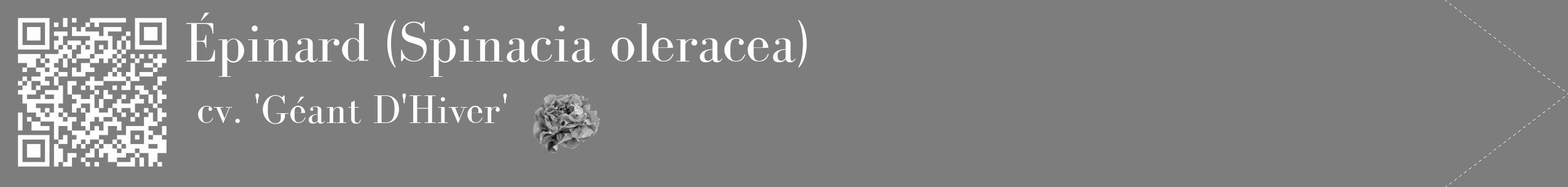 Étiquette de : Spinacia oleracea cv. 'Géant D'Hiver' - format c - style blanche35_simple_simplebod avec qrcode et comestibilité simplifiée