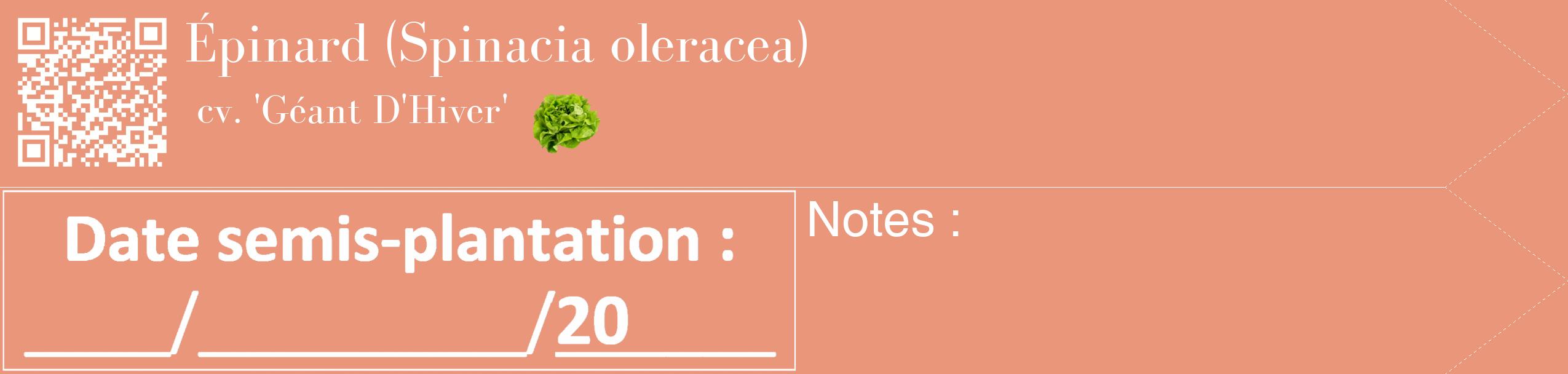 Étiquette de : Spinacia oleracea cv. 'Géant D'Hiver' - format c - style blanche37_simple_simplebod avec qrcode et comestibilité simplifiée