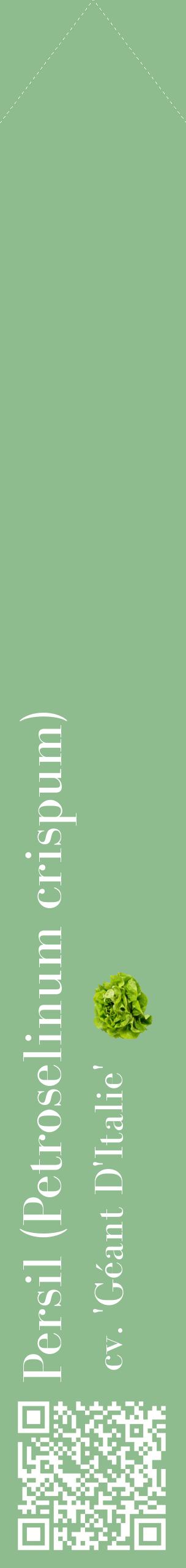 Étiquette de : Petroselinum crispum cv. 'Géant D'Italie' - format c - style blanche13_simplebod avec qrcode et comestibilité simplifiée