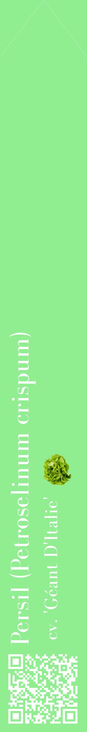 Étiquette de : Petroselinum crispum cv. 'Géant D'Italie' - format c - style blanche15_simplebod avec qrcode et comestibilité simplifiée