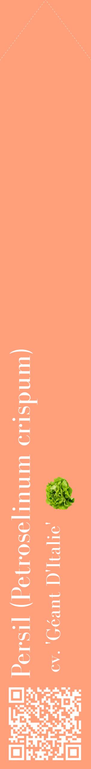 Étiquette de : Petroselinum crispum cv. 'Géant D'Italie' - format c - style blanche39_simplebod avec qrcode et comestibilité simplifiée