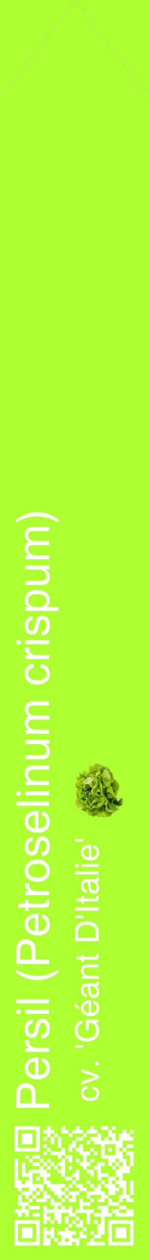 Étiquette de : Petroselinum crispum cv. 'Géant D'Italie' - format c - style blanche17_simplehel avec qrcode et comestibilité simplifiée