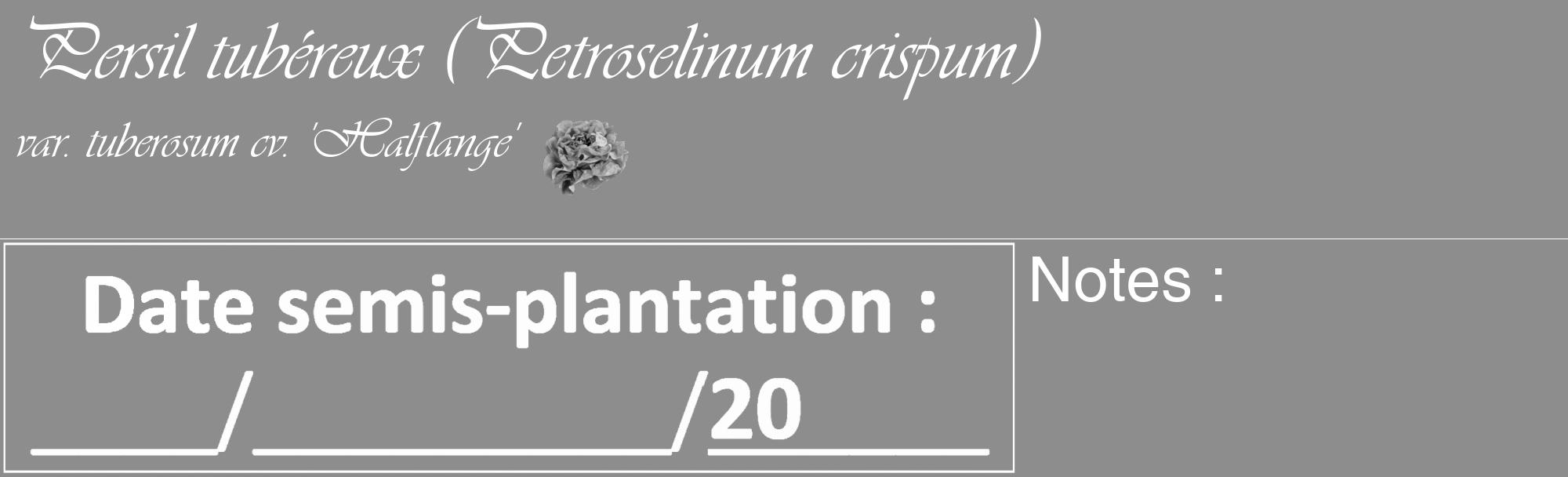 Étiquette de : Petroselinum crispum var. tuberosum cv. 'Halflange' - format c - style blanche2basique_basique_basiqueviv avec comestibilité simplifiée