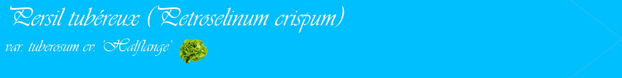Étiquette de : Petroselinum crispum var. tuberosum cv. 'Halflange' - format c - style blanche2simple_simple_simpleviv avec comestibilité simplifiée