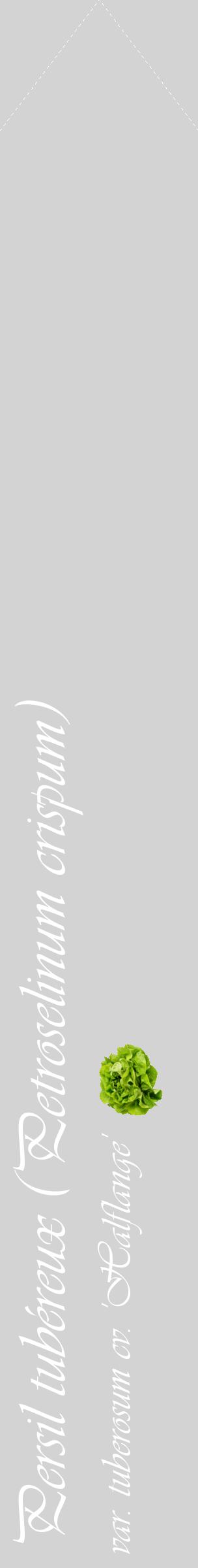 Étiquette de : Petroselinum crispum var. tuberosum cv. 'Halflange' - format c - style blanche56_simpleviv avec comestibilité simplifiée