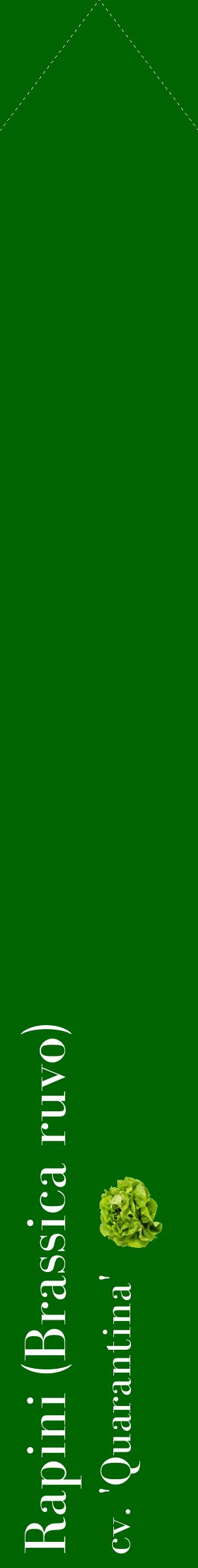 Étiquette de : Brassica ruvo cv. 'Quarantina' - format c - style blanche8_simplebod avec comestibilité simplifiée