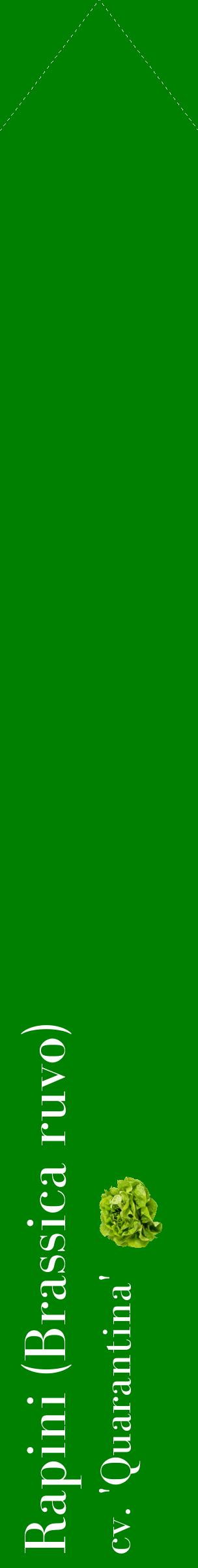Étiquette de : Brassica ruvo cv. 'Quarantina' - format c - style blanche9_simplebod avec comestibilité simplifiée