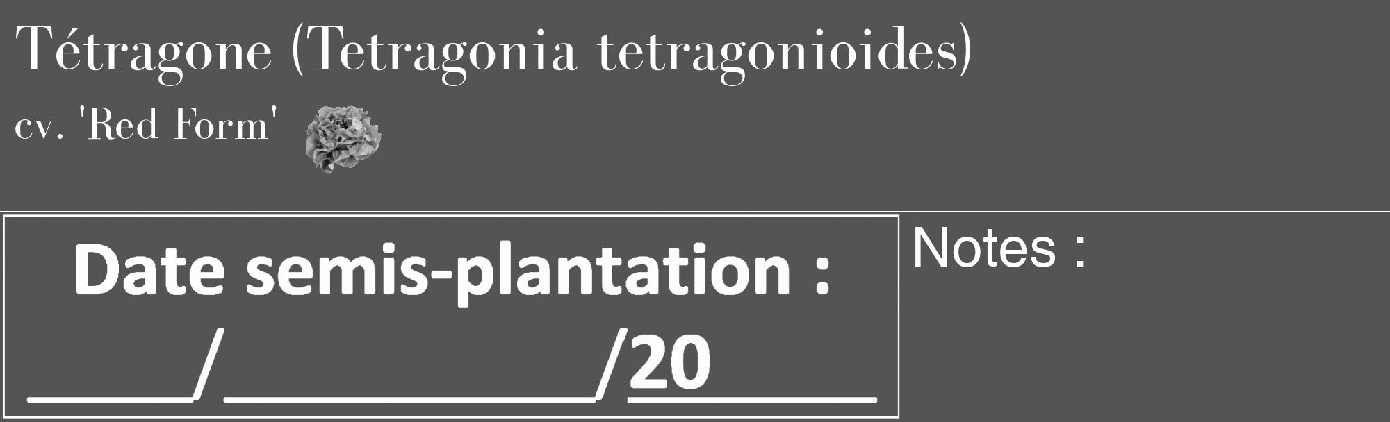 Étiquette de : Tetragonia tetragonioides cv. 'Red Form' - format c - style blanche30_basique_basiquebod avec comestibilité simplifiée