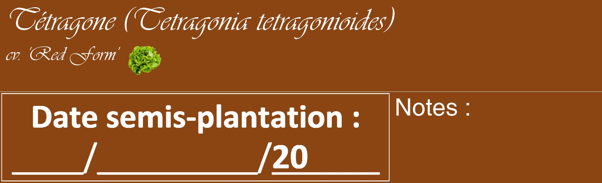Étiquette de : Tetragonia tetragonioides cv. 'Red Form' - format c - style blanche30_basique_basiqueviv avec comestibilité simplifiée