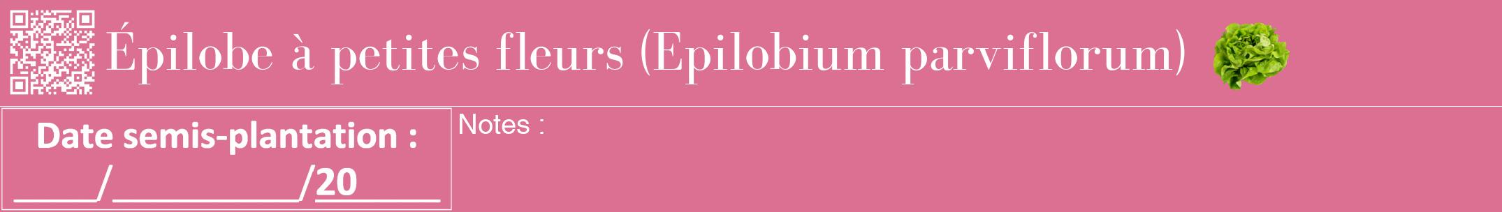 Étiquette de : Epilobium parviflorum - format a - style blanche44bod avec qrcode et comestibilité simplifiée