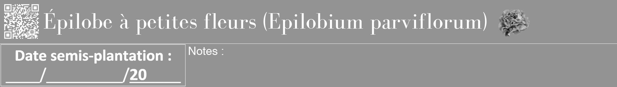 Étiquette de : Epilobium parviflorum - format a - style blanche44bod avec qrcode et comestibilité simplifiée