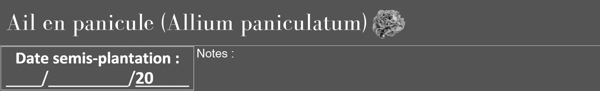 Étiquette de : Allium paniculatum - format a - style blanche30bod avec comestibilité simplifiée