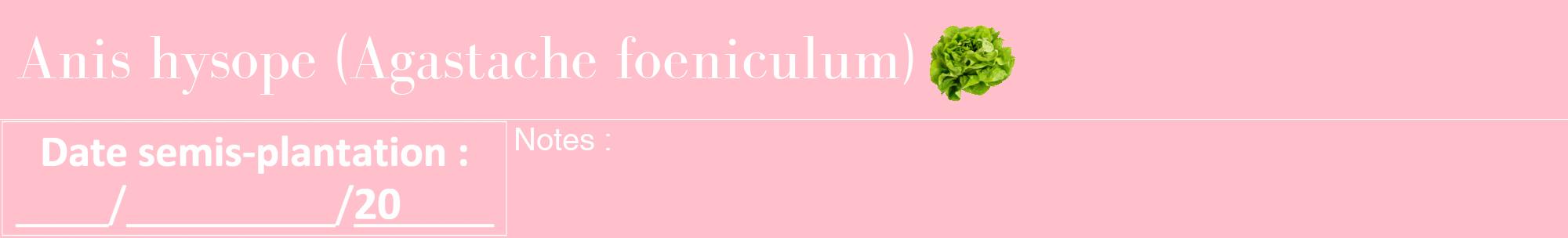 Étiquette de : Agastache foeniculum - format a - style blanche40bod avec comestibilité simplifiée