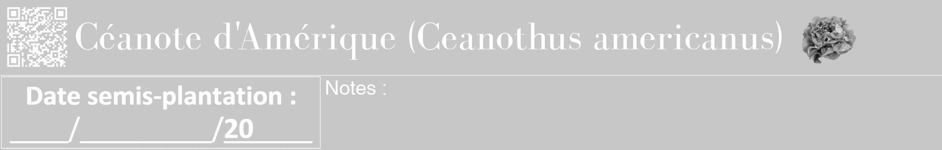 Étiquette de : Ceanothus americanus - format a - style blanche15basiquebod avec qrcode et comestibilité simplifiée