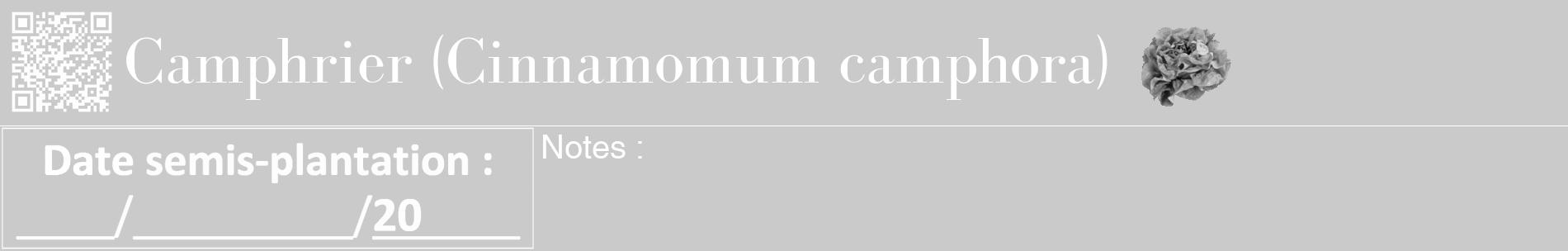 Étiquette de : Cinnamomum camphora - format a - style blanche21basiquebod avec qrcode et comestibilité simplifiée