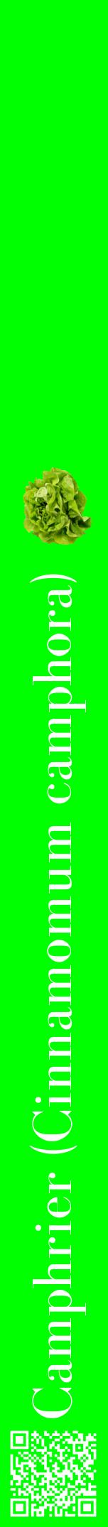 Étiquette de : Cinnamomum camphora - format a - style blanche16bod avec qrcode et comestibilité simplifiée