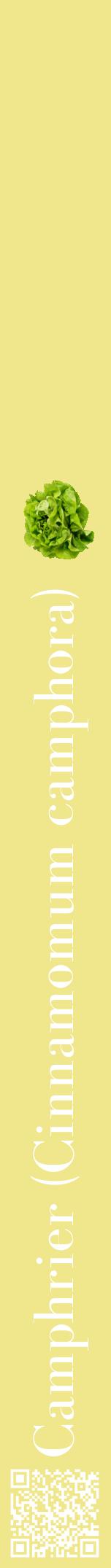 Étiquette de : Cinnamomum camphora - format a - style blanche20bod avec qrcode et comestibilité simplifiée